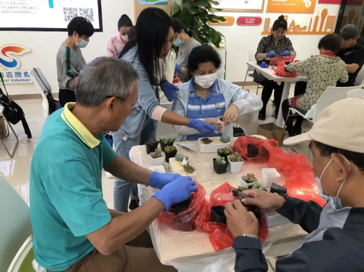 上海徐汇|“植物沙龙”乐趣多，用绿色点缀生活之美