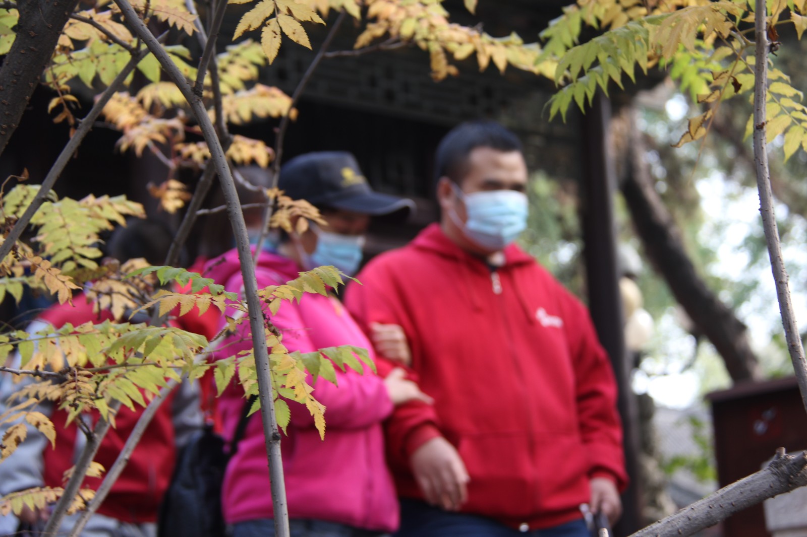 人民日报客户端山西频道|暖心！图书馆组织盲人健步行 让视障人士“看见”秋天