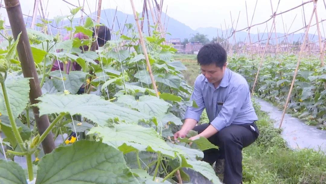 人民日报客户端广东频道|“大喇叭书记”练毅： 织就温情保障网 “量身定做”致富路