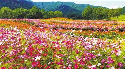 科技日报|青海卡阳村： 穷山根成“网红”景区