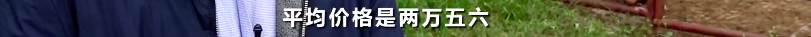 央视财经|痛心！这个“国之瑰宝”面临灭种危险...保卫战已打响