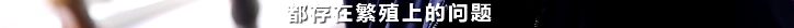 央视财经|痛心！这个“国之瑰宝”面临灭种危险...保卫战已打响