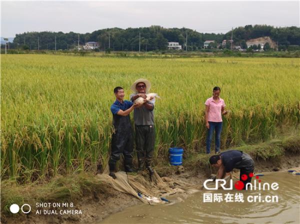 国际在线|世界粮食计划署驻华代表：要把中国脱贫经验分享给其他发展中国家