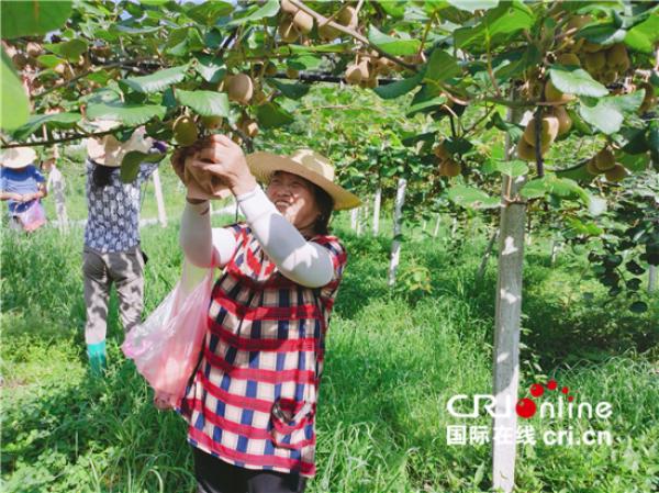 国际在线|世界粮食计划署驻华代表：要把中国脱贫经验分享给其他发展中国家