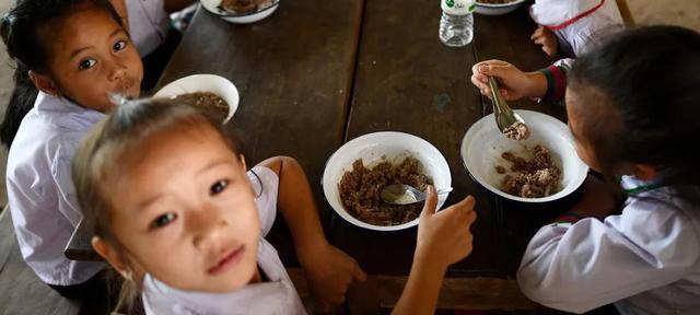 纵相新闻|疫情下的粮食问题引高度重视，世界顶尖农业粮食专家确认参加顶尖科学家论坛！