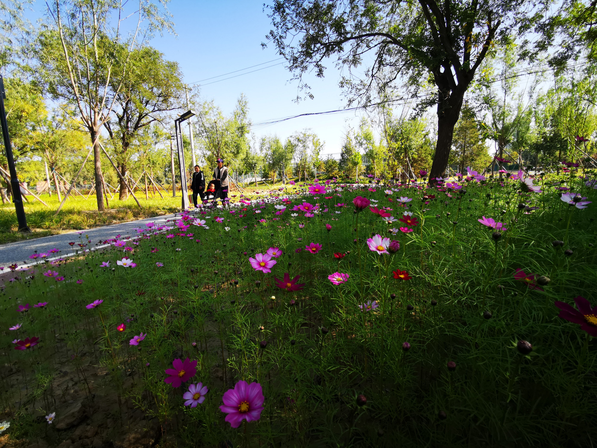 以瓦元素为主题的大瓦窑公园开园迎客
