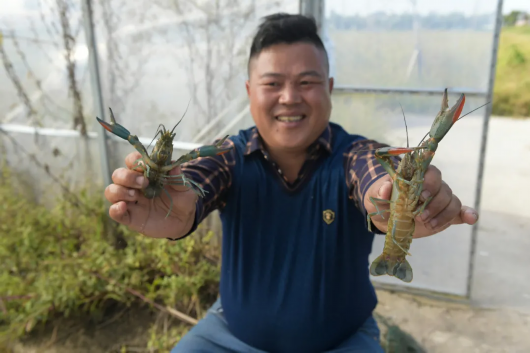 上海嘉定|能购能钓！嘉定地产澳洲淡水小青龙已上市~