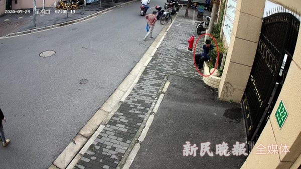 新民晚报|为送礼，“识货”男子盗取路边花坛铁树茶梅