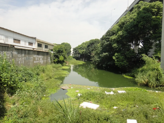 上海松江|从“景观河难成景观”到水清岸绿，松江这个镇是怎么做到的？