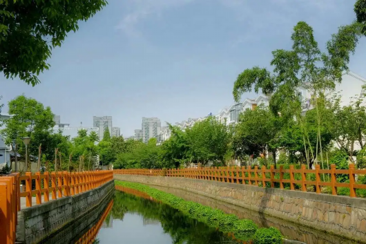 上海松江|从“景观河难成景观”到水清岸绿，松江这个镇是怎么做到的？