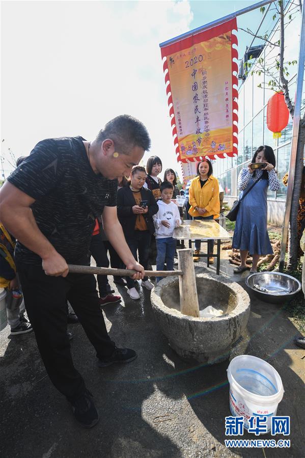 新华网|美丽乡村金秋“庆丰收”