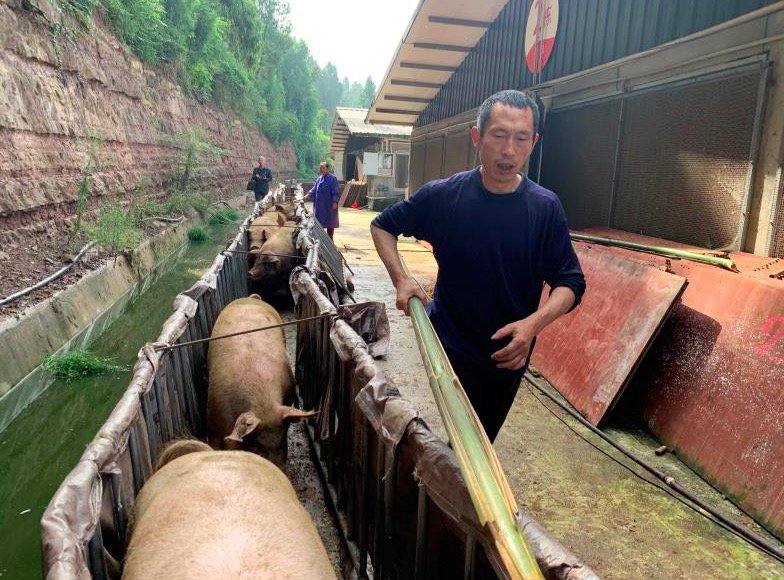 川观新闻|老外到三台田间地头，通过央视向全世界讲述脱贫故事