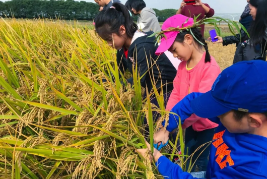 上海松江|来松江这个环水农庄 感受野餐、野营、赶鸭子的乐趣