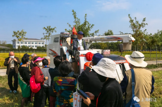 上海松江|一屋煮饭 满弄堂香！沪上“老饕”下乡只为尝松江大米