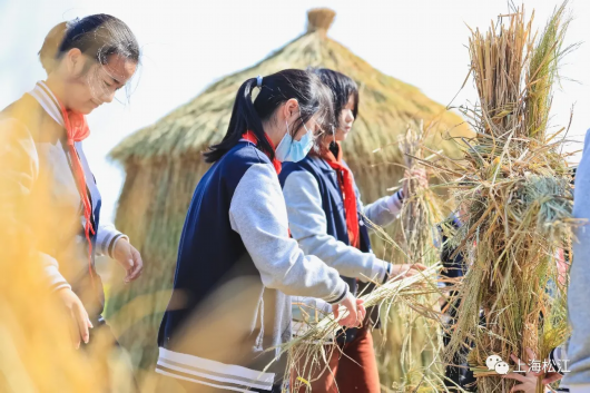 上海松江|八仙桌边听歌，望田集市淘宝，松江浦南这样经营田园风光……