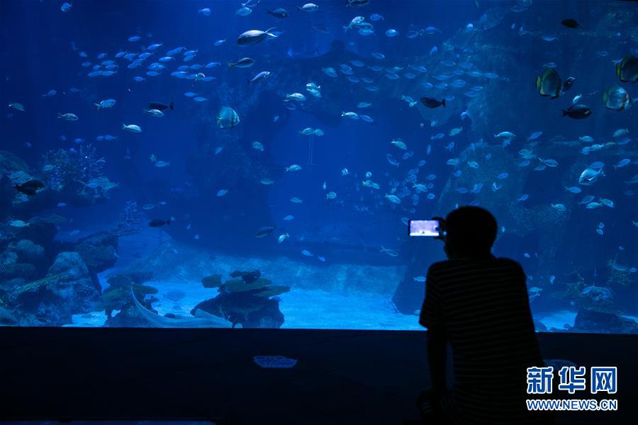 （国际）（1）疫情下的普吉水族馆