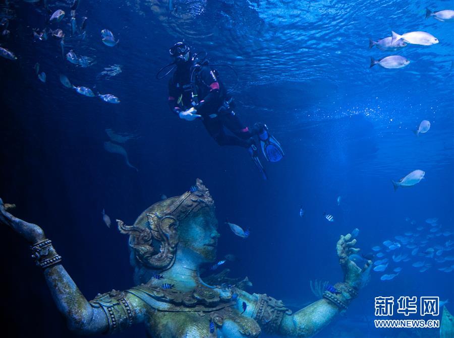 （国际）（2）疫情下的普吉水族馆