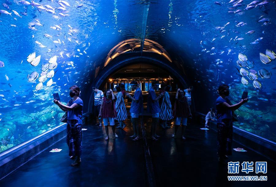 （国际）（4）疫情下的普吉水族馆