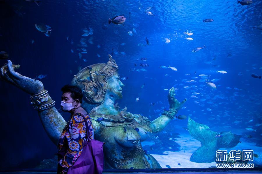 （国际）（5）疫情下的普吉水族馆