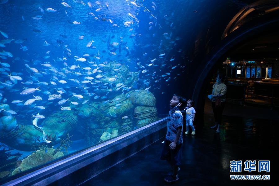 （国际）（7）疫情下的普吉水族馆