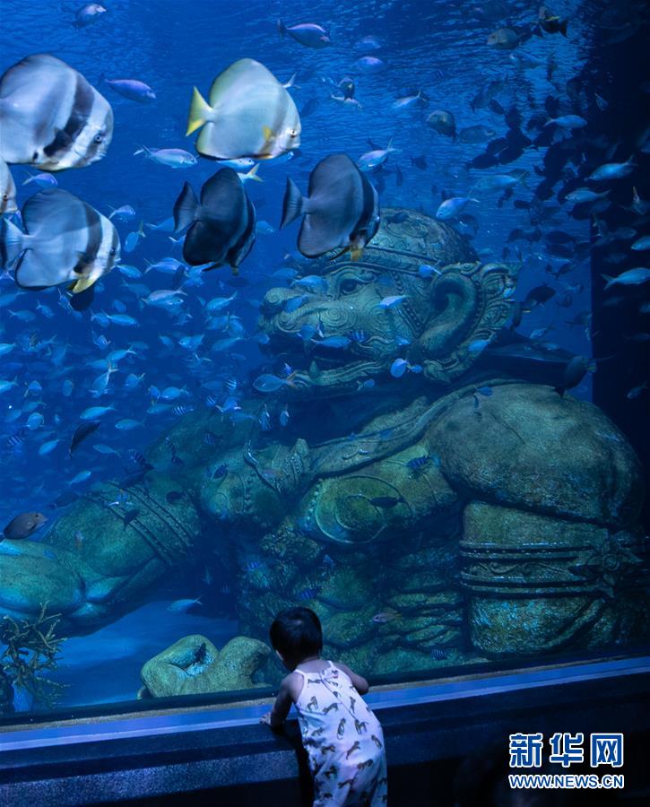 （国际）（9）疫情下的普吉水族馆