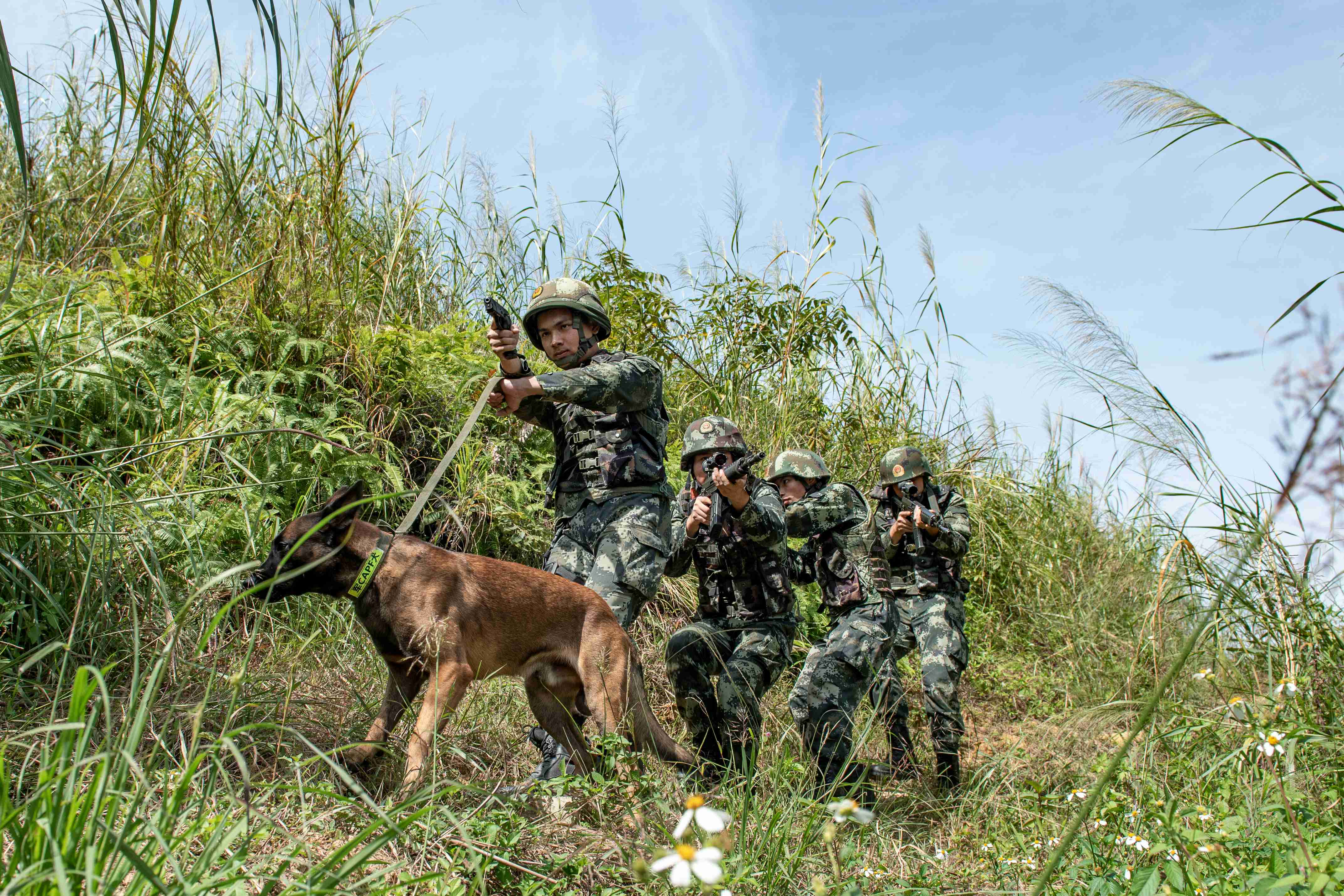 2020年10月24日，武警官兵携军犬追踪目标。