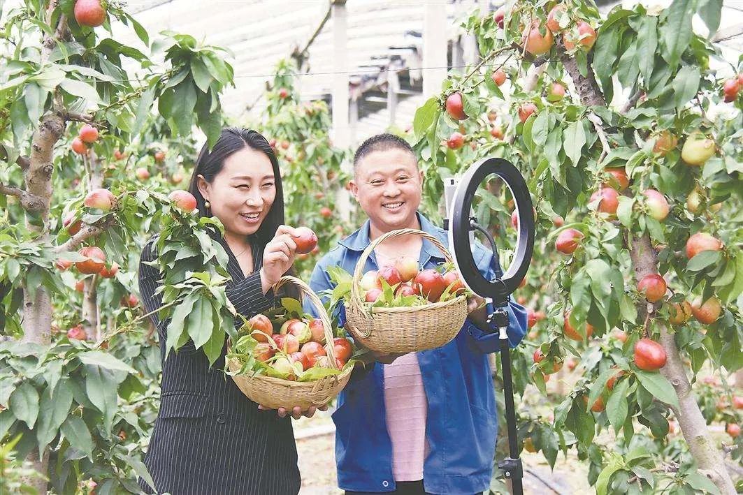 人民日报评论|人民日报谈乡村直播带货：“会吆喝”更须“酒浆美” | 大家谈