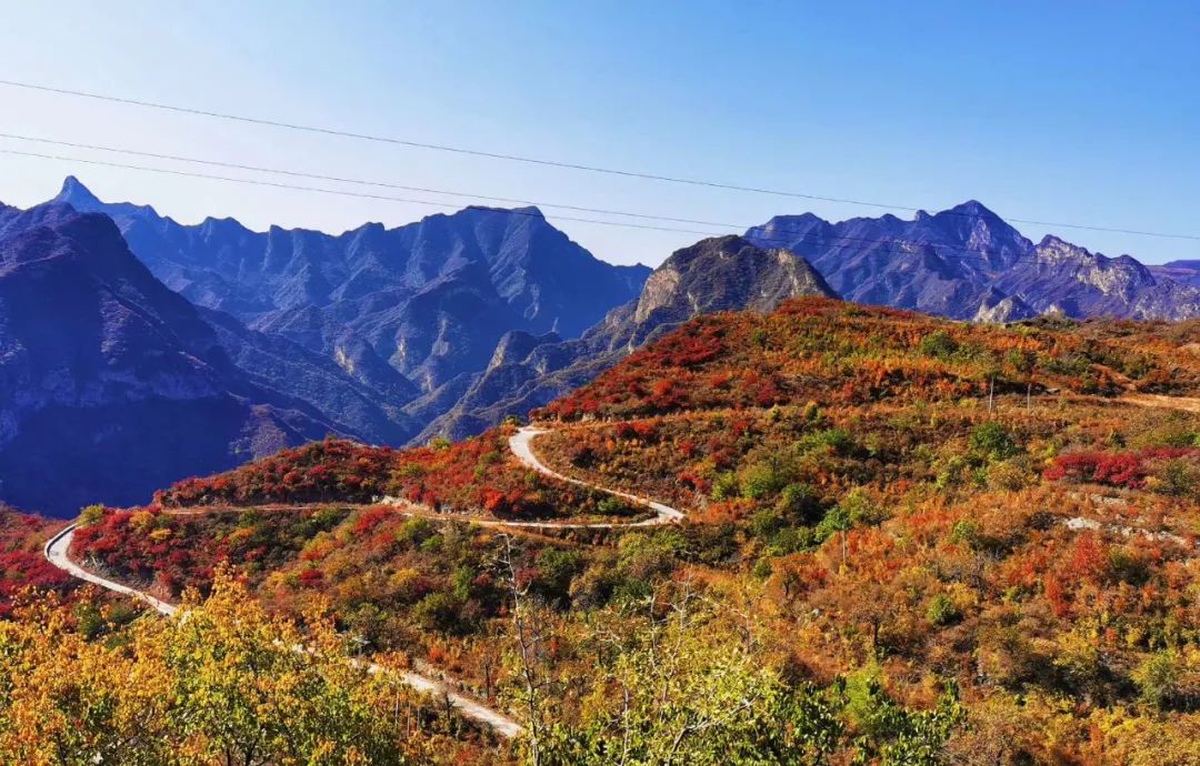 去大安山,一起陶醉于秋色美图中隐藏的诗句