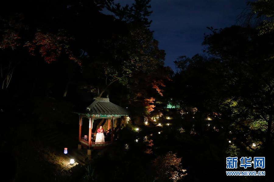 （国际）（6）提灯夜游昌德宫