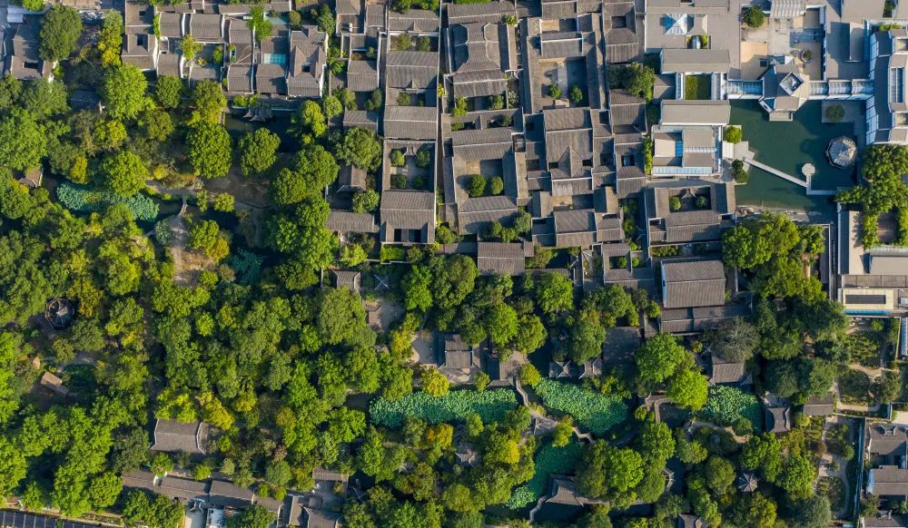 新华社|卫星解开了一个“密码”！