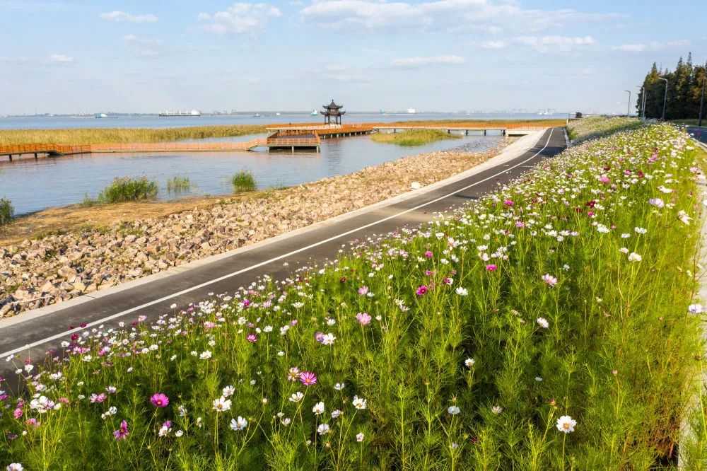 新华社|卫星解开了一个“密码”！