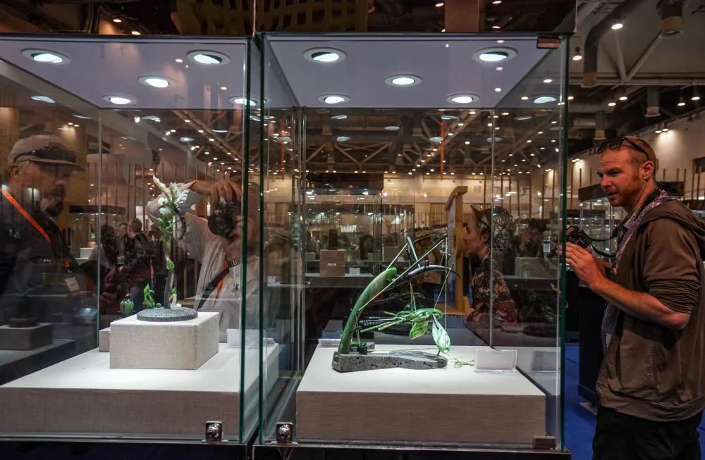 新华社|卫星解开了一个“密码”！