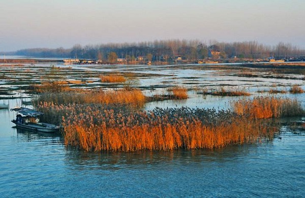 新民晚报|晨读 | “重返”这片湖