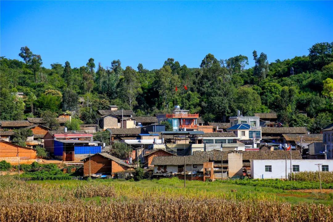 开远后洞村:痛定思痛 30年养出一座青山