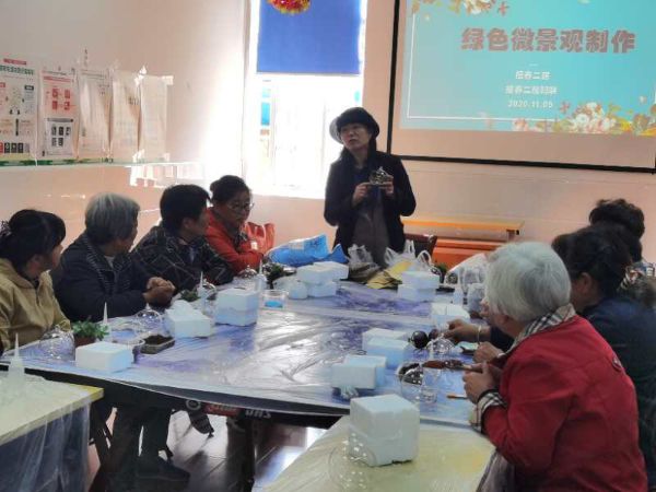 上海市闵行区人民政府网站|莘庄镇报春二居绿色微景观制作