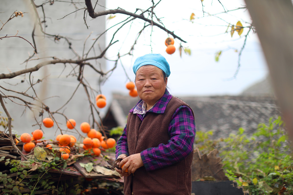 川观新闻|走进美丽新九寨 | 探访：九寨沟旅游复苏，村民满怀信心摆摊卖柿子