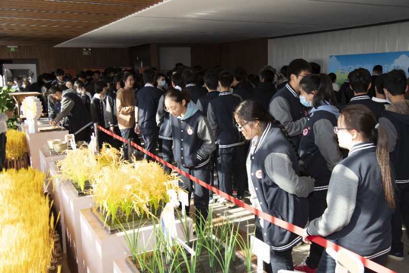 东方网|有趣的一堂课——“一粒米的奇妙旅程”杨浦区专场主题展走进市东中学