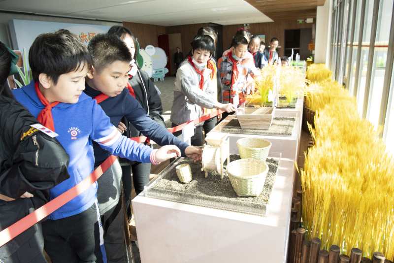 东方网|有趣的一堂课——“一粒米的奇妙旅程”杨浦区专场主题展走进市东中学