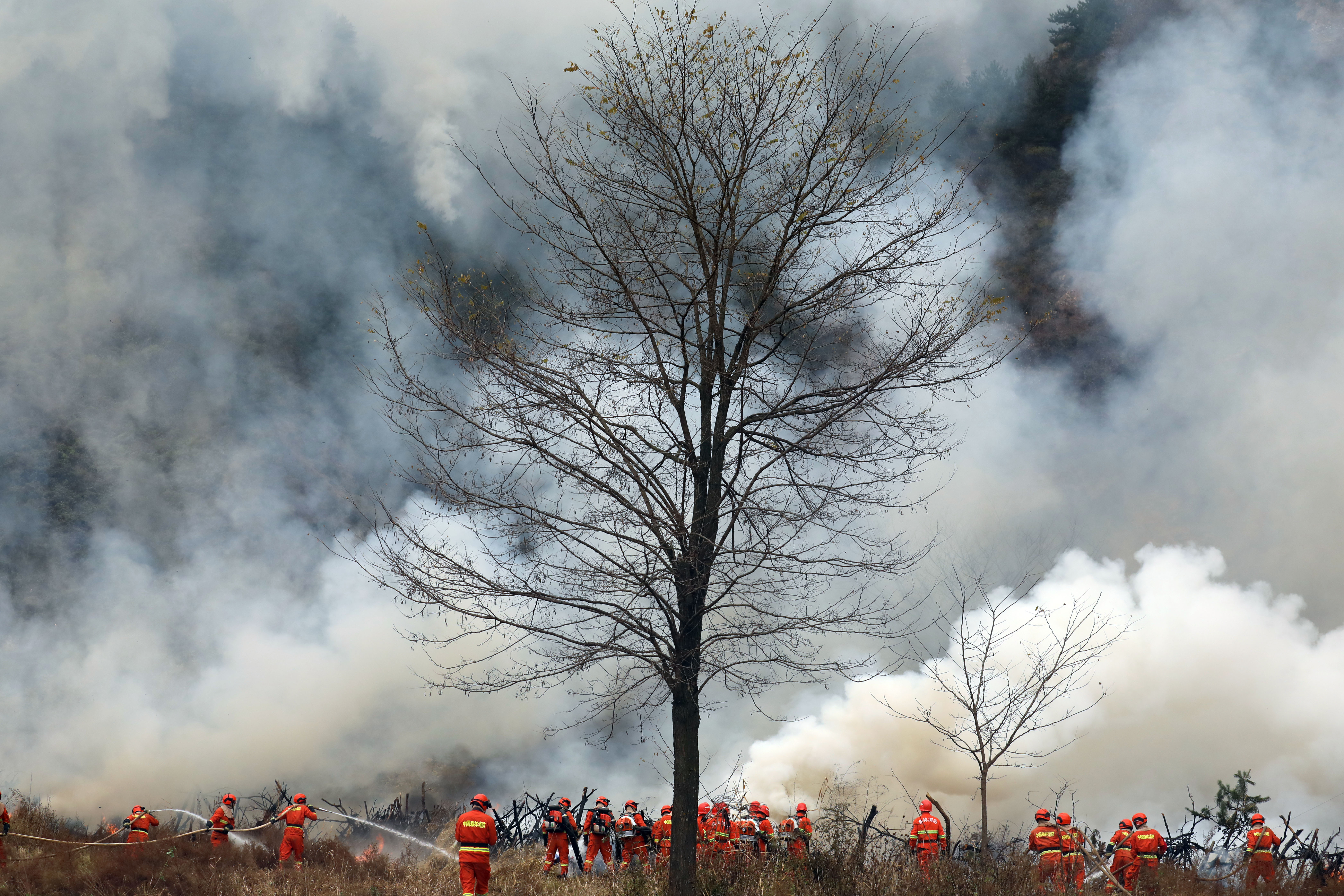 甘肃举行重特大森林火灾灭火演习,首次动用移动卫星通讯装备