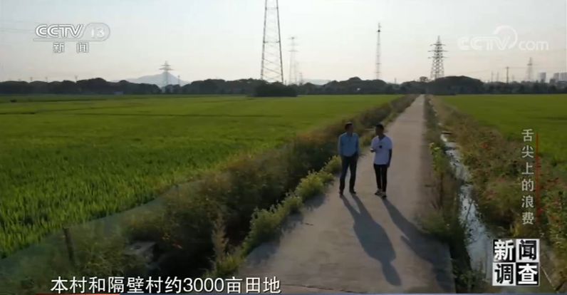 央视新闻客户端|婚宴、成人礼、自助餐……这些舌尖上的浪费你注意了吗