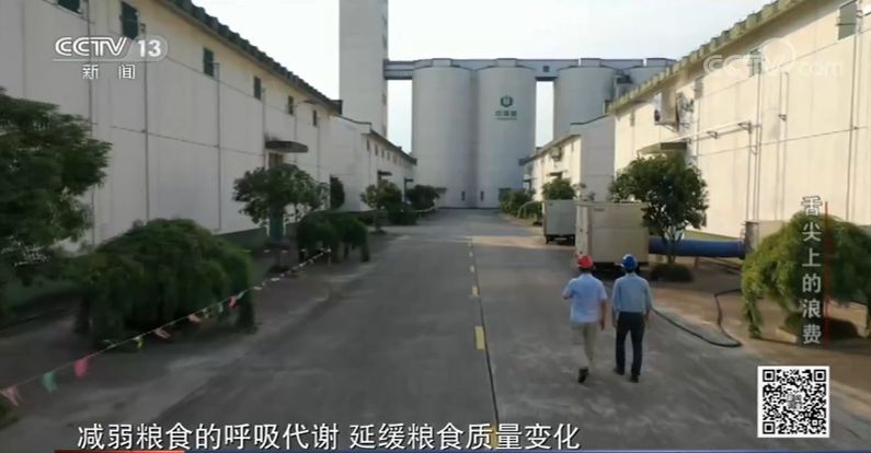 央视新闻客户端|婚宴、成人礼、自助餐……这些舌尖上的浪费你注意了吗