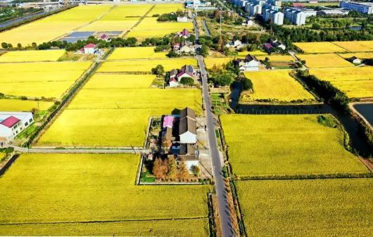 上海奉贤|秋日上新！一大波庄行美景图来袭，小编带你云游庄行~