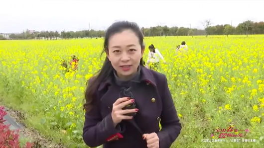 上海宝山|【宝山融媒】今天，我们把镜头留给自己！