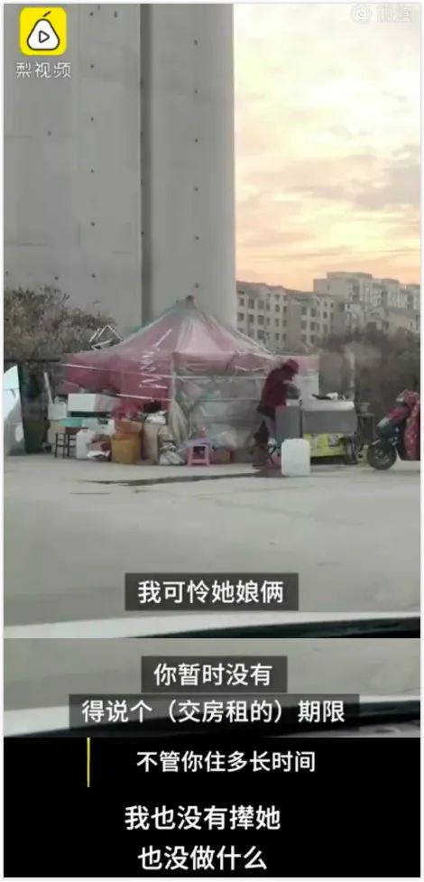 梨视频、半岛全媒体|单亲母亲搭棚住桥下，女儿打手电写作业？青岛官方最新通报来了