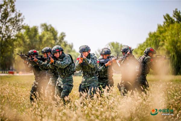 河南武警机动部队图片