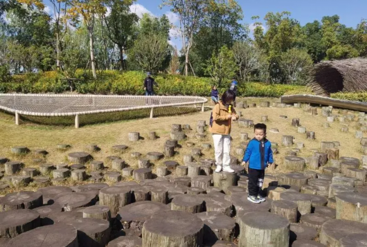 东方网|在普陀品秋景 桃浦中央绿地将部分开放试运行