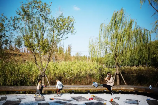 东方网|在普陀品秋景 桃浦中央绿地将部分开放试运行