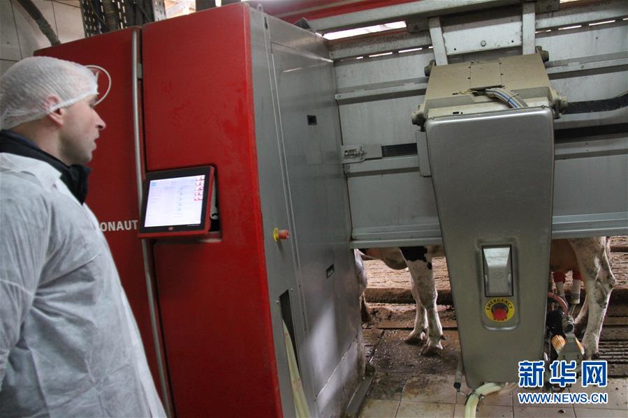 新华网|出口中国“备战”双十一的波兰牛奶