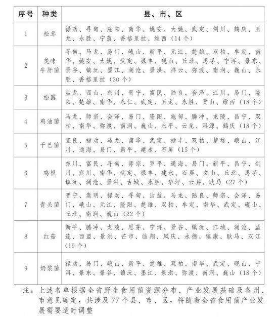 人民日报客户端云南频道|“云菌”升级 力争2022年综合产值达1000亿元！