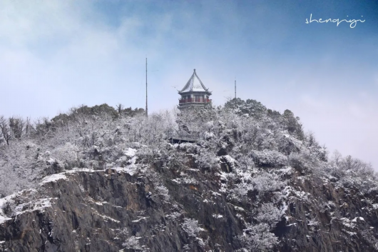 上海松江|票价对折 11月11日辰山植物园推出特惠 快将四季美景带回家